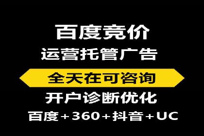 百度竞价广告投放全解析：成功案例揭秘